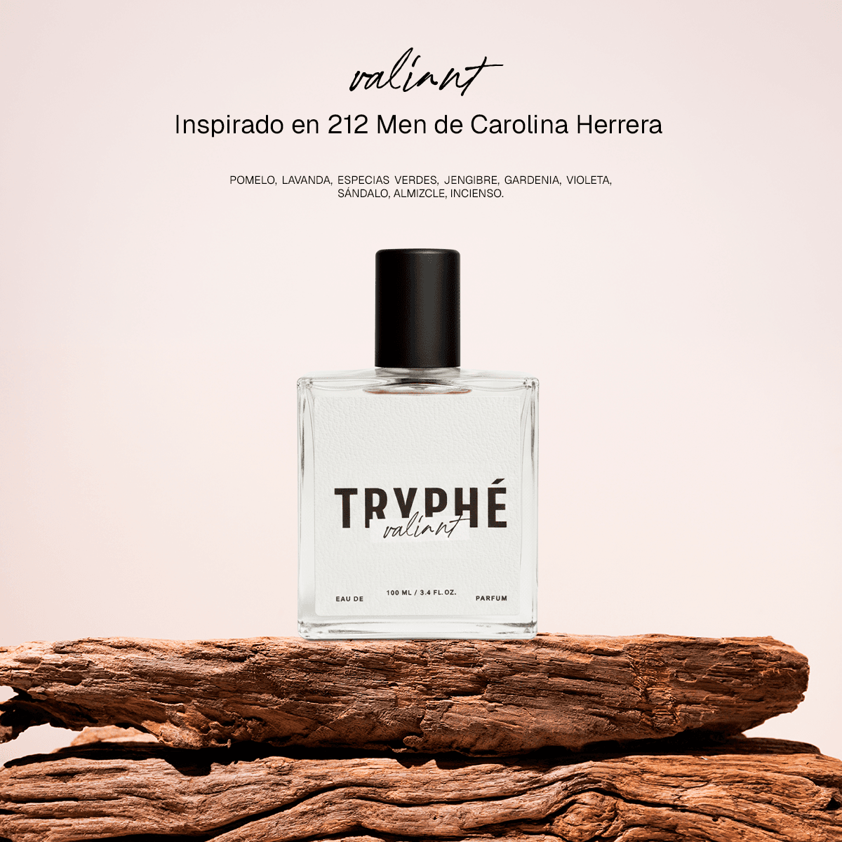 Catálogo y kit de marca TRYPHÉ