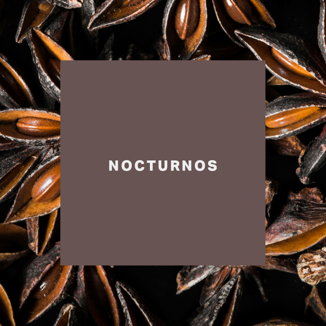Nocturnos